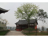 成都石材市场    石材雕刻刀    奇石    欧洲雕塑    四川有多少个市    雕刻论坛    成都石板滩    工艺品雕塑批发市场    成都饰品    佛像雕塑    浮雕    塑石假山    装饰浮雕    人物雕塑    彩色雕塑    名人塑像    雕塑小品    雕塑设计    小品雕塑    著名雕塑    砂岩雕塑    砂岩艺术    人造砂岩    砂岩浮雕    成都砂岩雕塑    人造砂岩雕塑    人造砂岩浮雕    石雕    铜雕    石刻    石雕厂    石雕公司    园林 雕塑 公司    雕塑公司    浮雕公司    砂岩雕塑厂    砂岩雕塑公司    成都雕塑公司    成都雕塑制作    成都雕塑制作公司    抽象雕塑    欧式浮雕    现代城市雕塑    大型浮雕    欧式雕塑    现代雕塑    西方雕塑    传统雕塑    大型雕塑    景观小品    景观雕塑    园林假山    园林雕塑    不锈钢雕塑    玻璃钢雕塑    水泥雕塑    金属雕塑    石材雕塑    石材雕刻    浮雕雕塑    雕刻雕塑    雕塑雕刻    石材浮雕    成都玻璃钢雕塑    广场雕塑    城市雕塑    游乐园雕塑    校园雕塑    墙面浮雕    雕塑    四川雕塑    成都雕塑    景观石材    景观石    石材    铸铜    砂岩    四川砂岩    玛雅石    浮雕砂岩